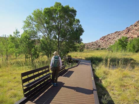 Red Spring Boardwalk