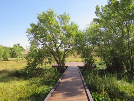 Red Spring Boardwalk