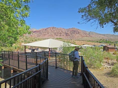 Red Spring Boardwalk