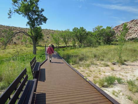 Red Spring Boardwalk