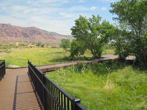 Red Spring Boardwalk