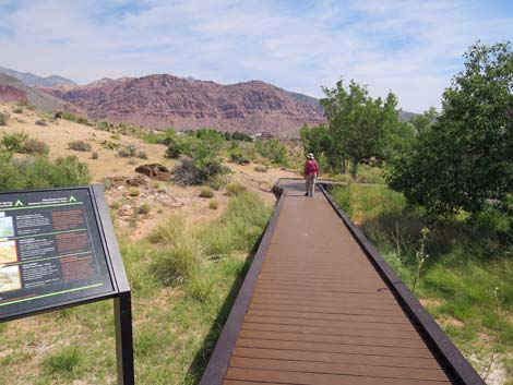 Red Spring Boardwalk