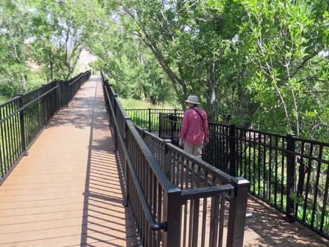 Red Spring Boardwalk