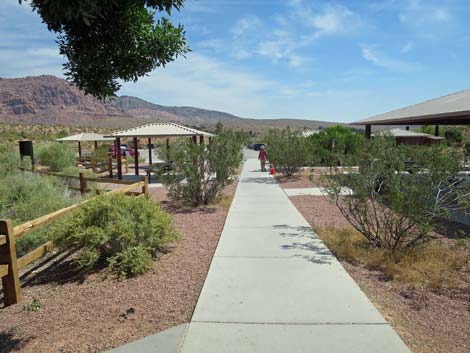 Red Spring Boardwalk