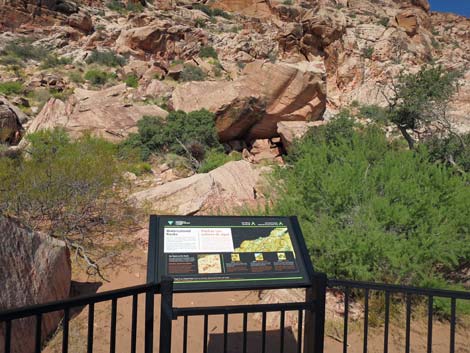 Red Spring Boardwalk Trail