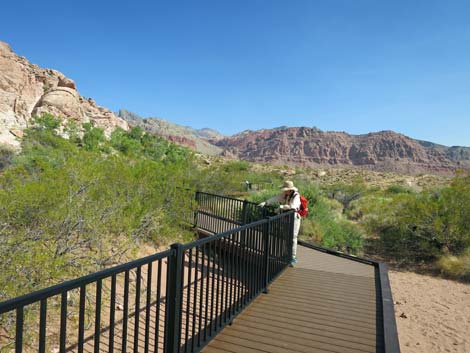 Red Spring Boardwalk Trail