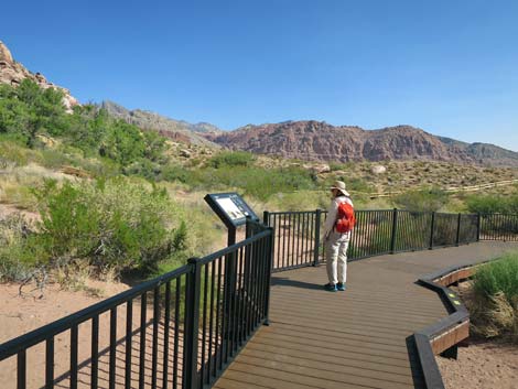 Red Spring Boardwalk Trail