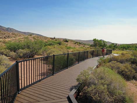 Red Spring Boardwalk