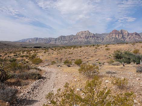 Ride Share Deluxe Loop Trail