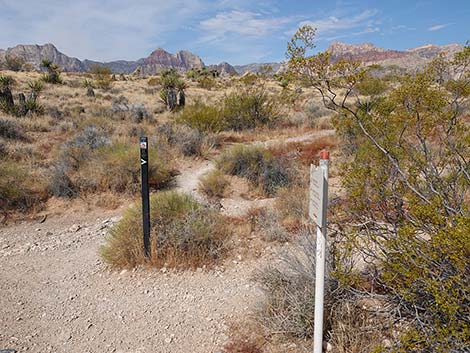 Ride Share Deluxe Loop Trail