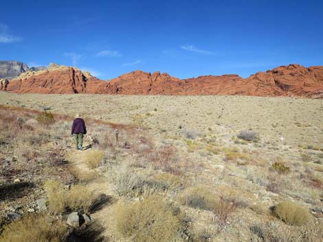 Ride Share Deluxe Loop Trail