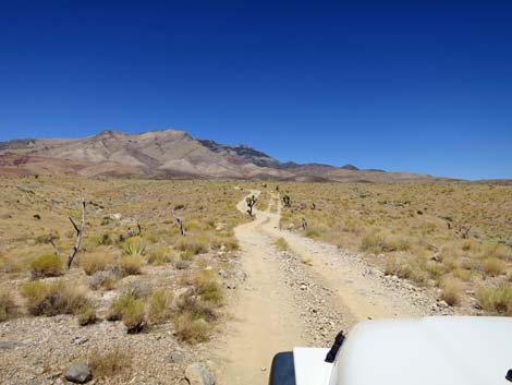 Ninetynine Mine Road