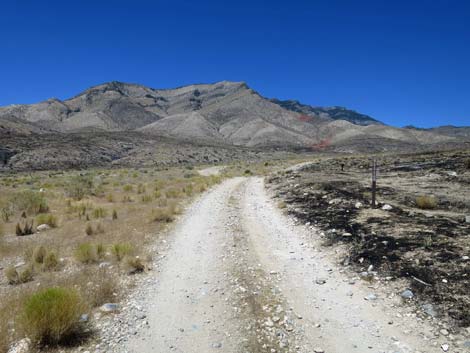 Ninetynine Mine Road