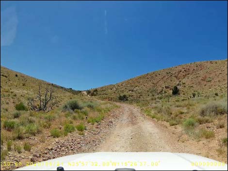 Cottonwood Valley Road