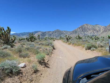 Lone Grapevine Road