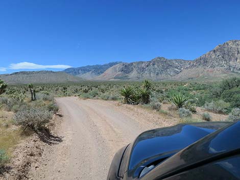 Lone Grapevine Road