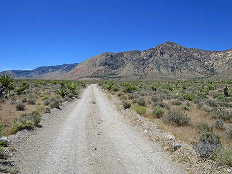 Lone Grapevine Road