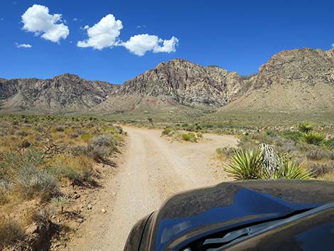 Lone Grapevine Road