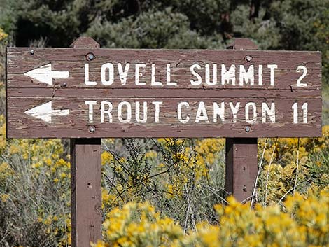 Lovell Canyon Road