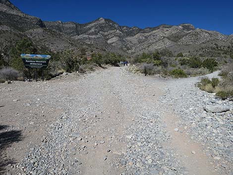 White Rock Loop Trail