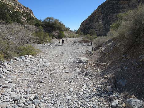 White Rock Loop Trail