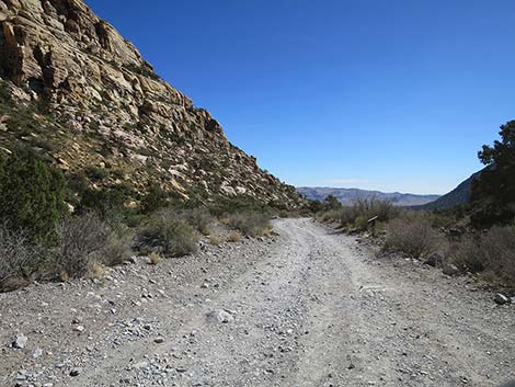 White Rock Loop Trail