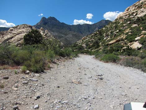 Rocky Gap Road