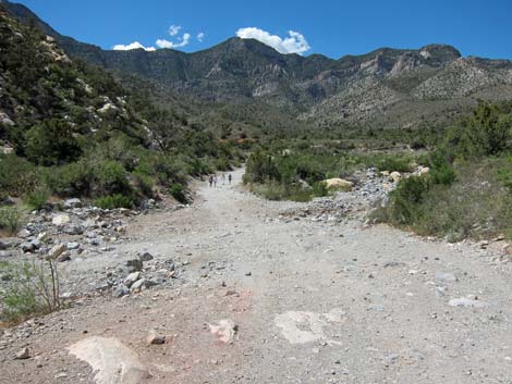 Rocky Gap Road