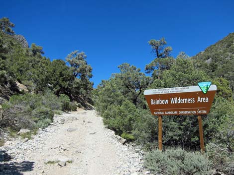 Rocky Gap Road