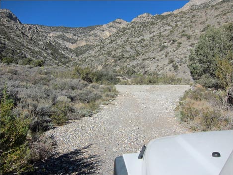 Rocky Gap Road