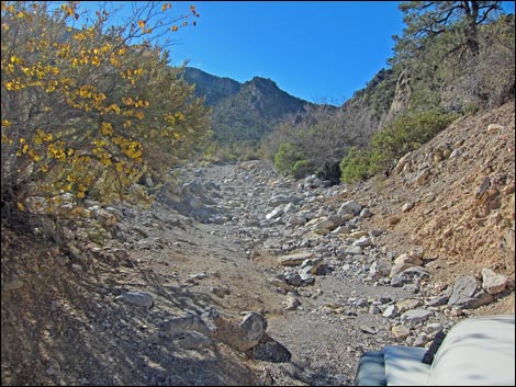 Rocky Gap Road