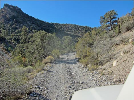 Rocky Gap Road