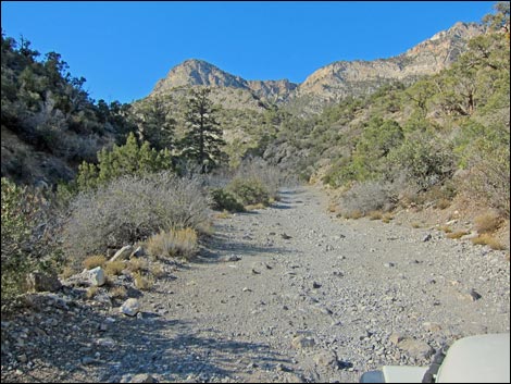 Rocky Gap Road