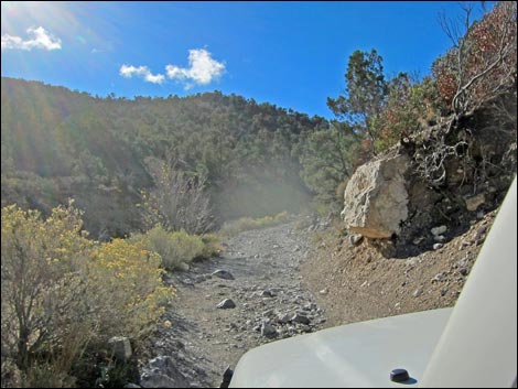 Rocky Gap Road