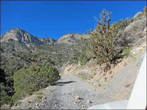 Rocky Gap Road