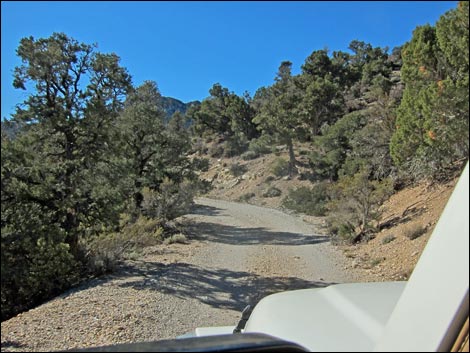 Rocky Gap Road