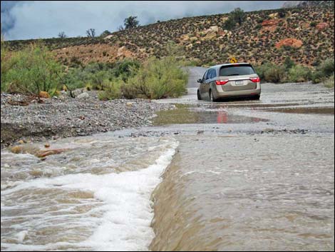 Scenic Loop Road