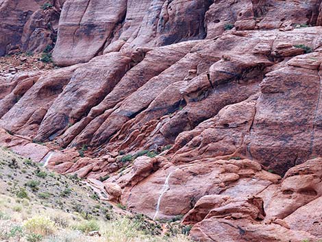 Scenic Loop Road