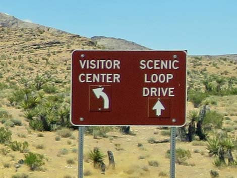 Visitor Center