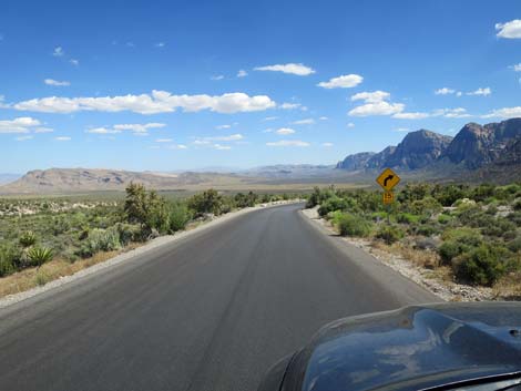 Scenic Loop Road