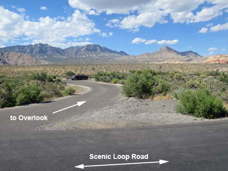 Scenic Loop Road