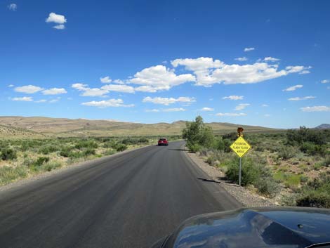 Scenic Loop Road