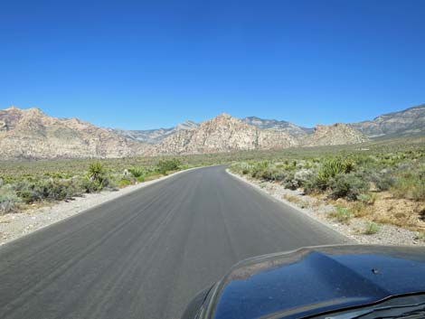 Scenic Loop Road