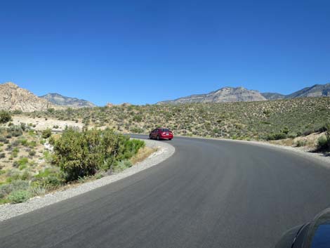 Scenic Loop Road