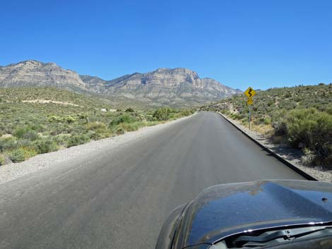 Scenic Loop Road