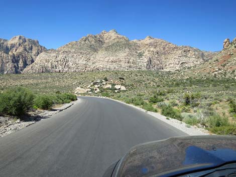 Scenic Loop Road