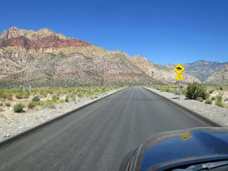 Scenic Loop Road