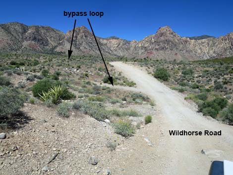 Wildhorse Road