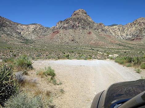 Lone Grapevine Trailhead