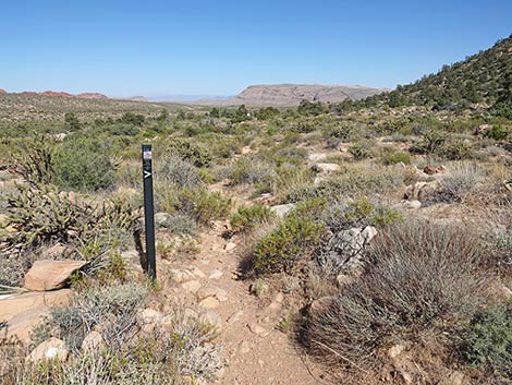 SMYC Trail
